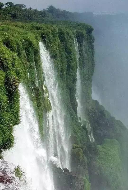 逃离太古森林